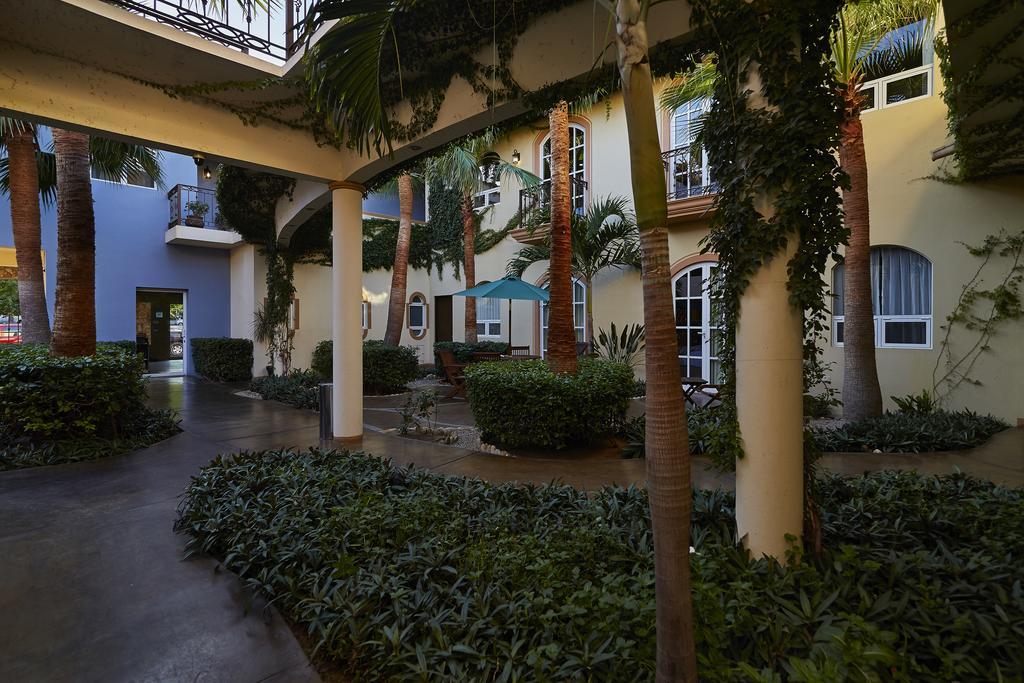 San Angel Suites กาโบซานลูกัส ภายนอก รูปภาพ